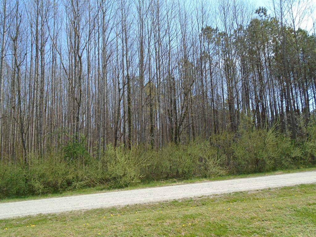 000 Old Mill Lane - Photo 1
