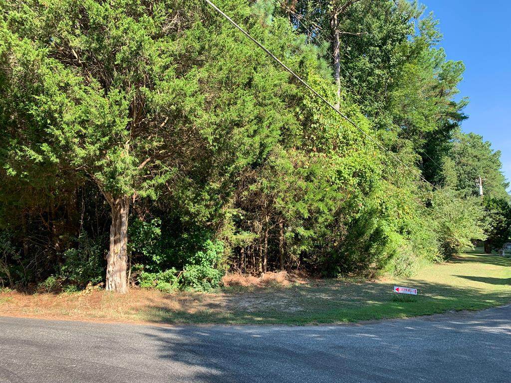 00 Berkeley Forest Road - Photo 1