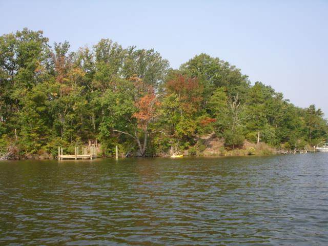 0 Bancton Road - Photo 1