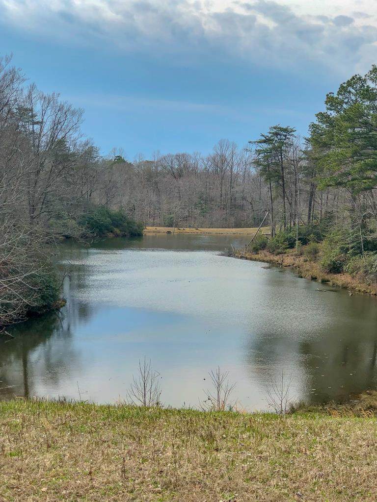 0 Twin Branch Drive - Photo 1