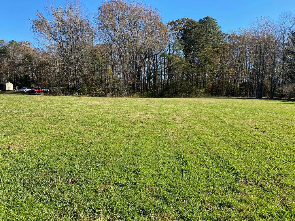 0 Walnut Lane - Photo 1