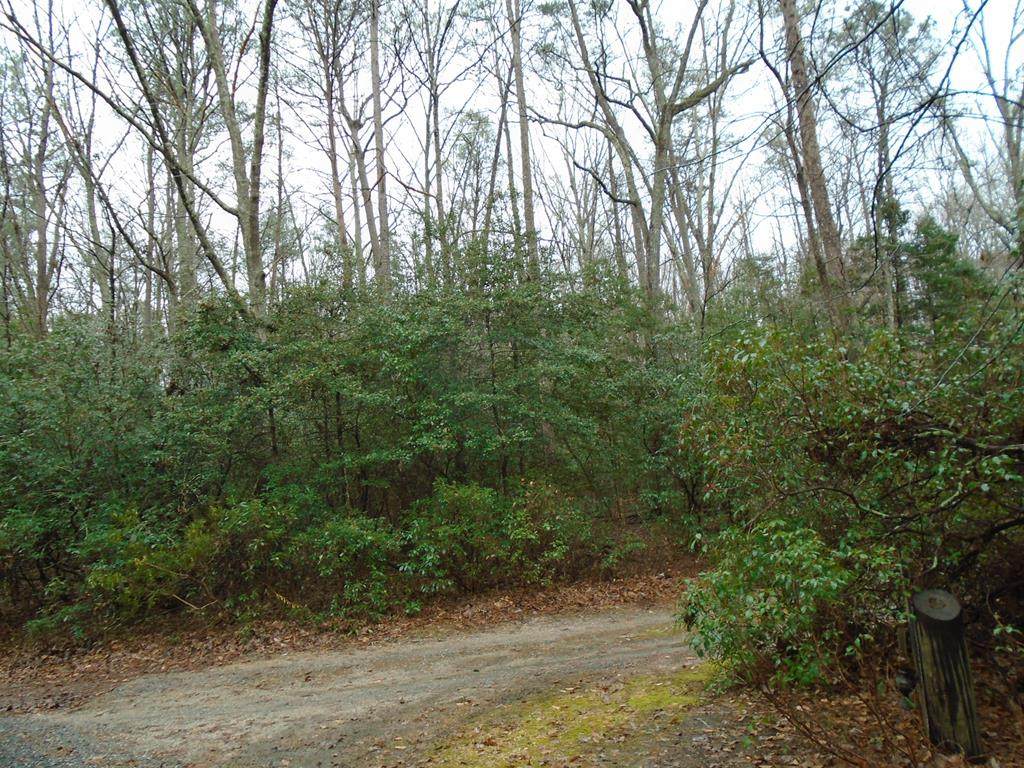 000 Avis Trail - Photo 1