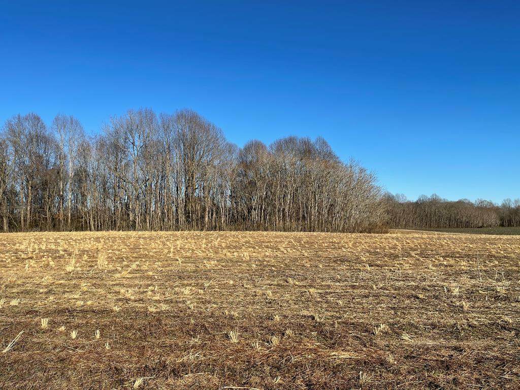 0 Crabbetown Road - Photo 1