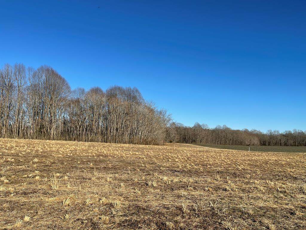 0 Crabbetown Road - Photo 1