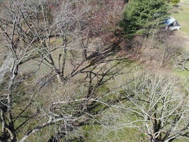 2752 Northumberland Hwy - Photo 1