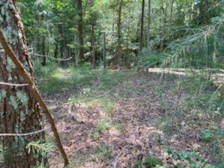 0 Turkey Run Court - Photo 1