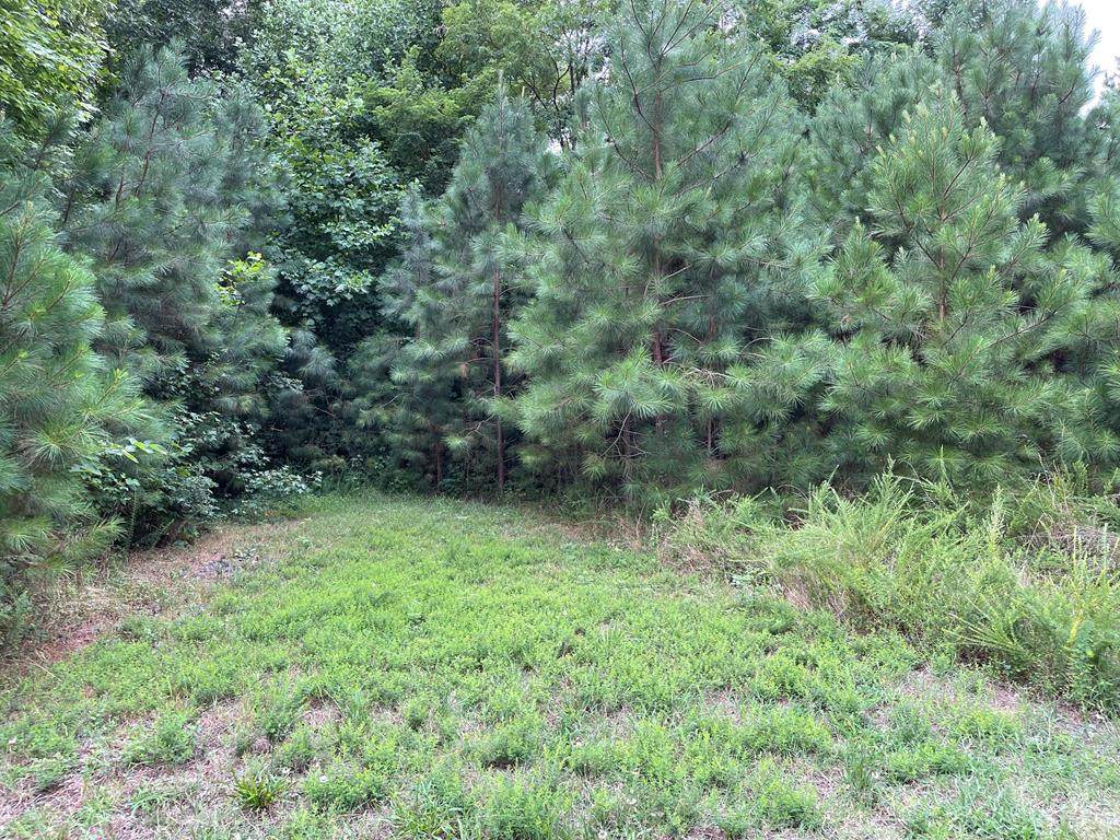 0 Bay Point Drive - Photo 1
