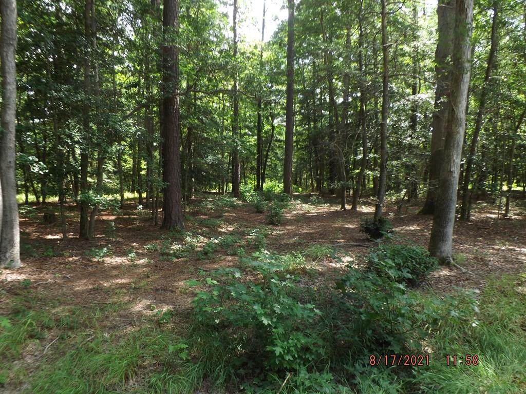 0 Shooting Star Ln - Photo 1