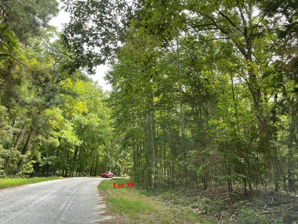 0 Wicomico Drive - Photo 1