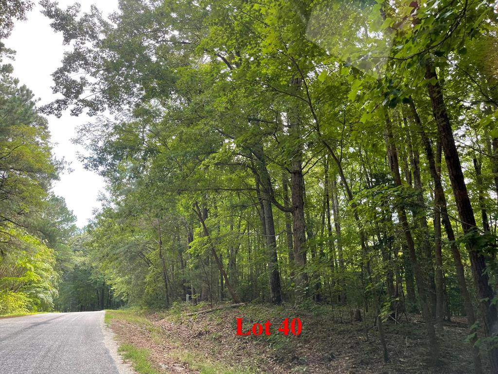 0 Wicomico Drive - Photo 1