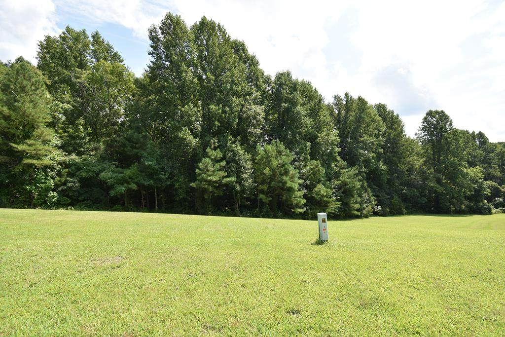 Lot 73 Deer Run Drive - Photo 1