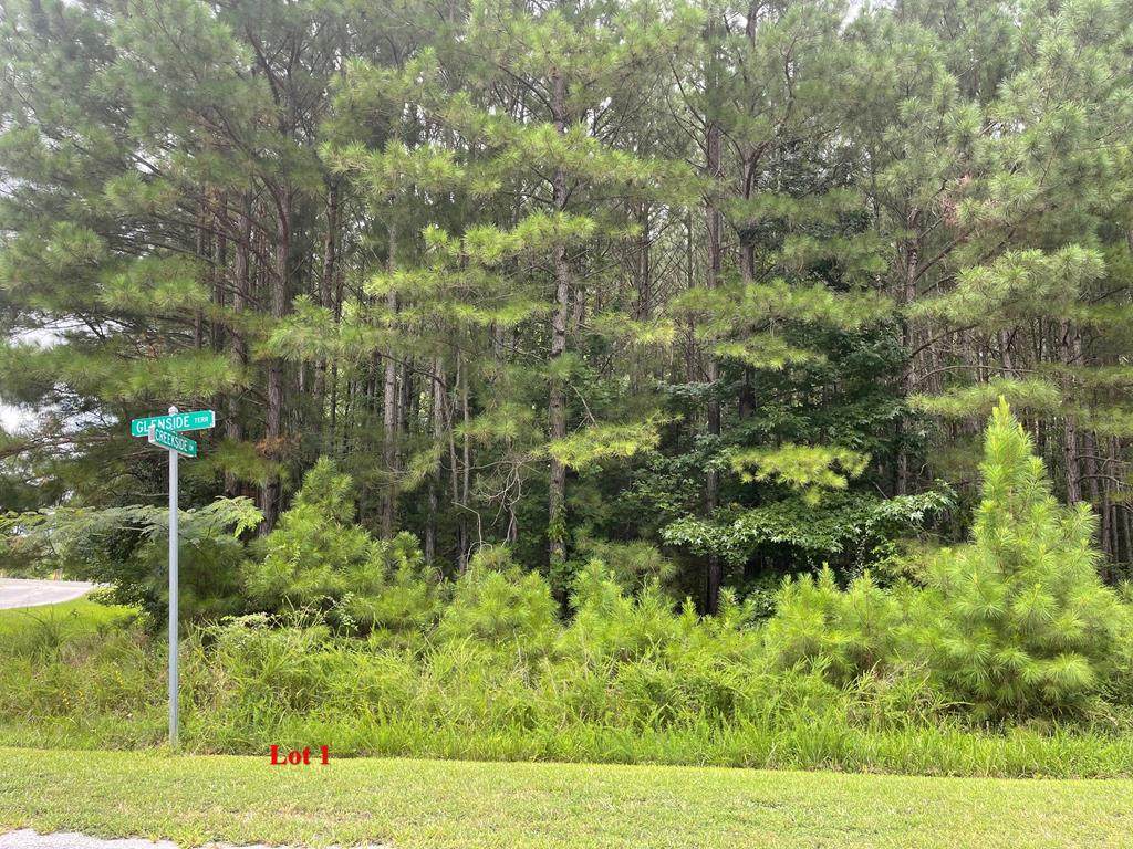 0 Creekside Drive - Photo 1