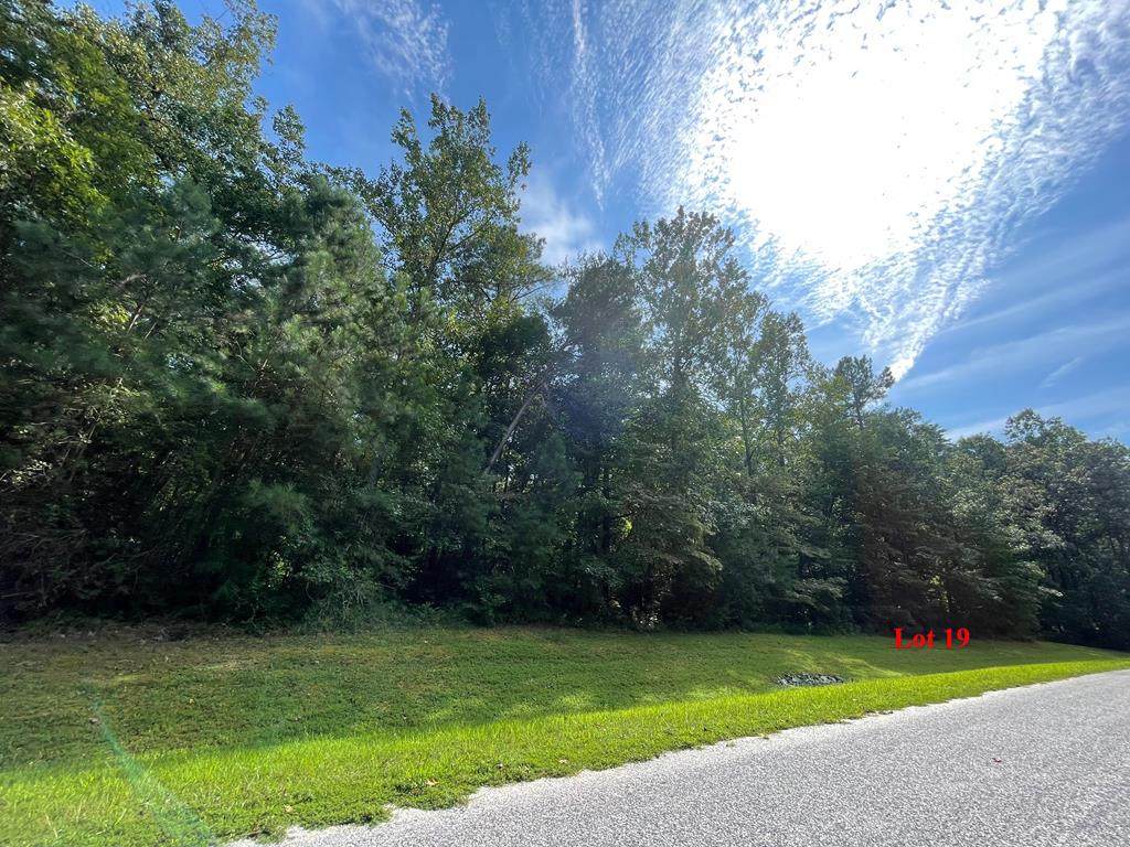 0 Creekside Drive - Photo 1