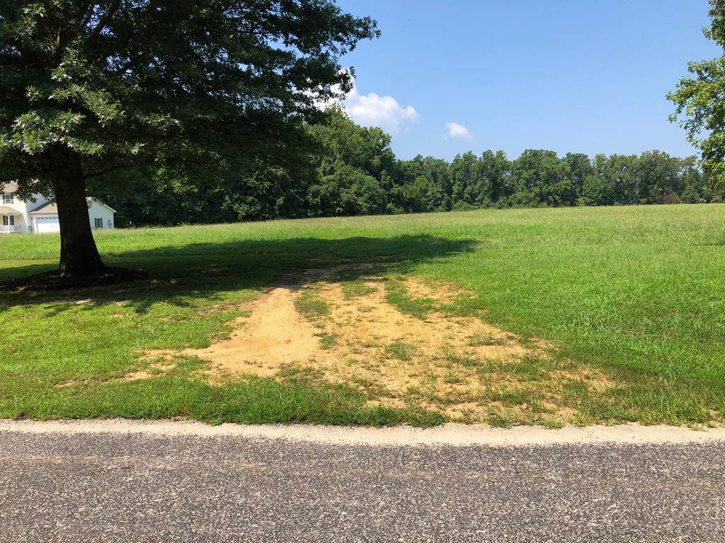 Lot 71 Barnes Creek Ct - Photo 1