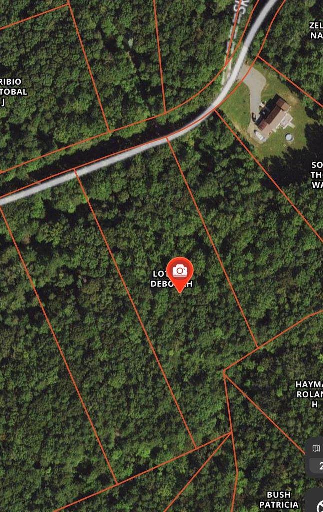 Lot 39A Island Point Road - Photo 1