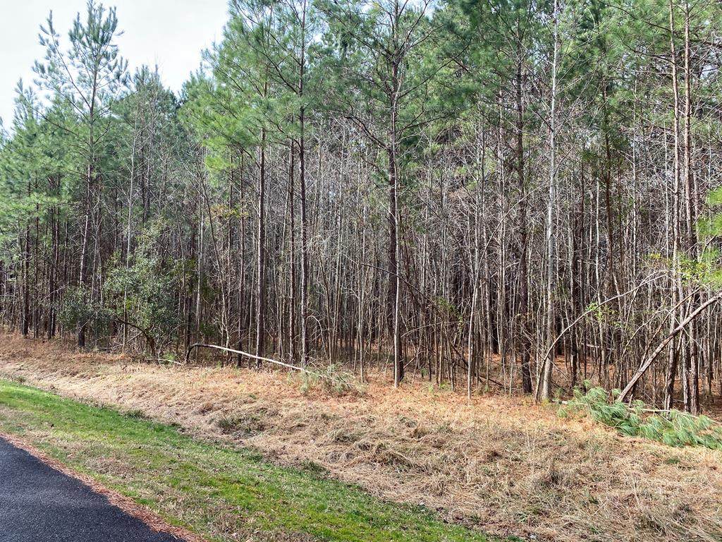 50 Indian Pointe Drive - Photo 1