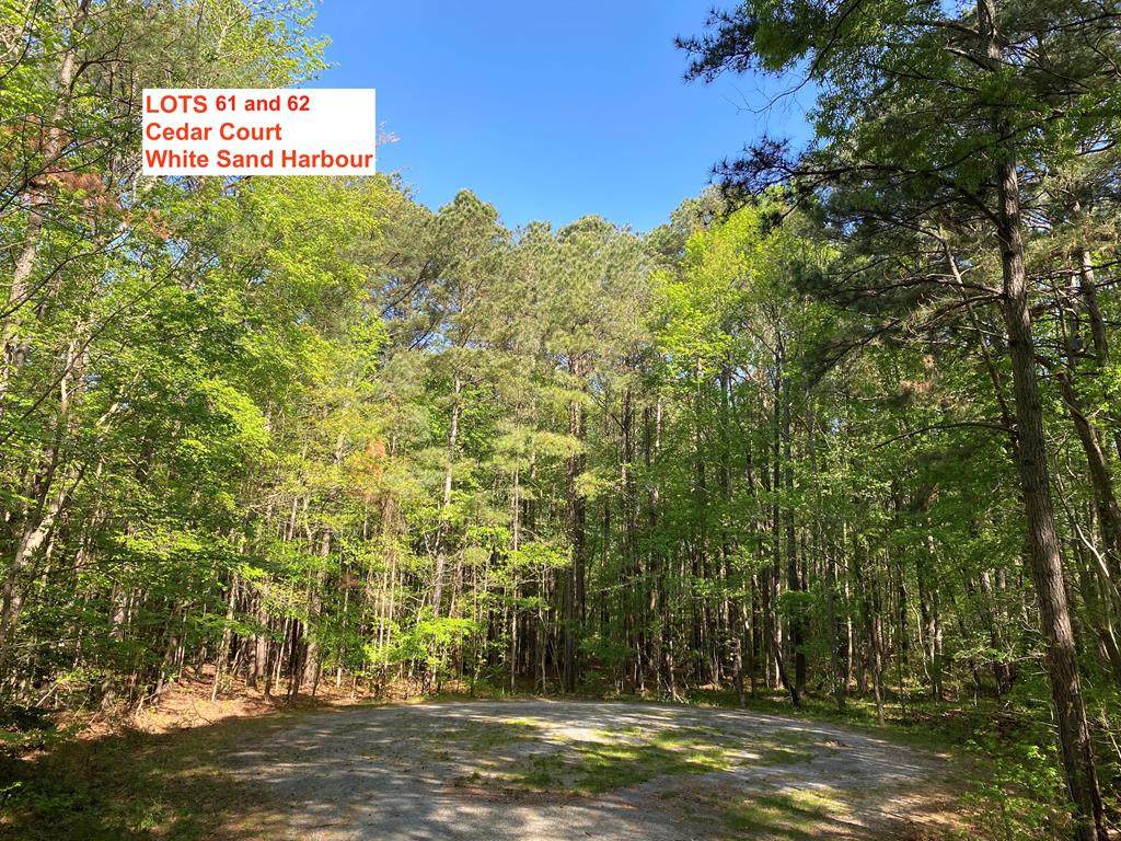 LOT 61 Cedar Court - Photo 1