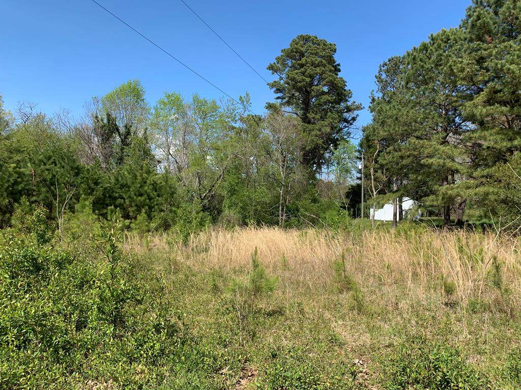 1.73 AC Thomas Landing Road - Photo 1