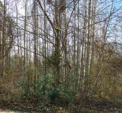 0 Iberis Road - Photo 1