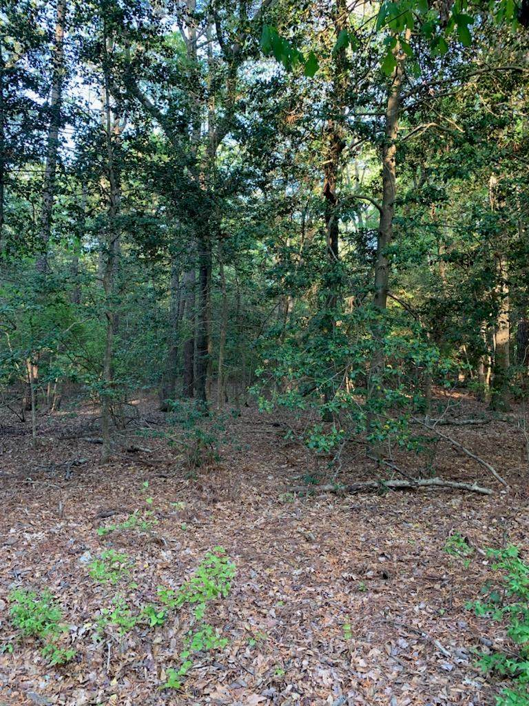 17.8AC Cherry Point Road - Photo 1