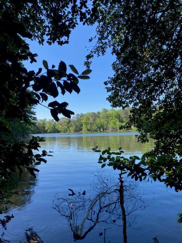 Lot 2 Bundick Rd - Photo 1
