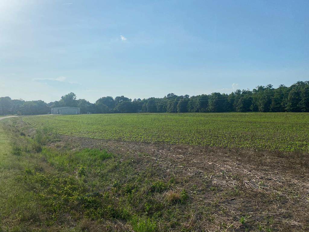 Lot 182 Tucker Hill Road - Photo 1