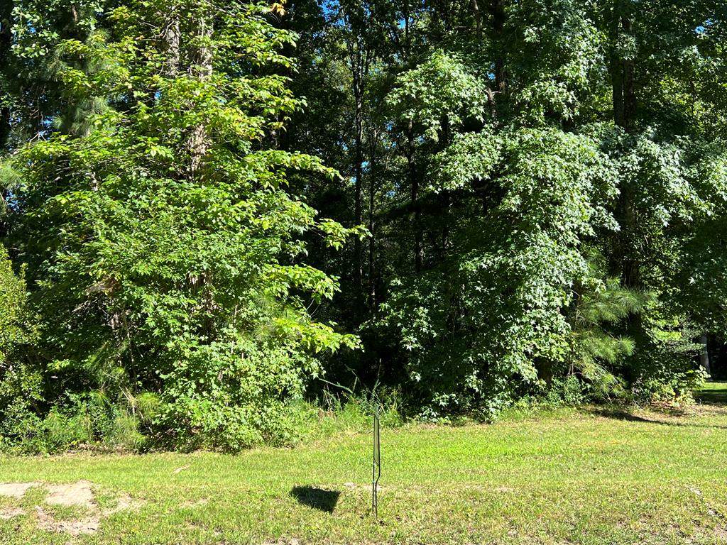 Lot 31 Cabin Point Drive - Photo 1