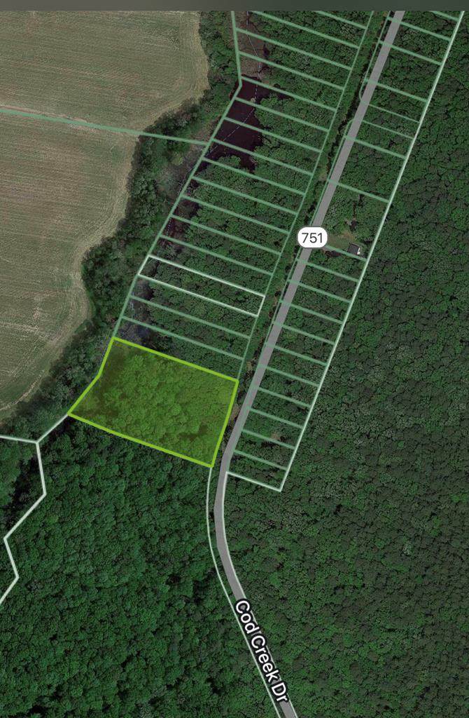 0 Cod Creek Drive - Photo 1