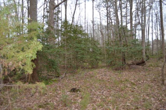 0 Rivers Knoll - Photo 1