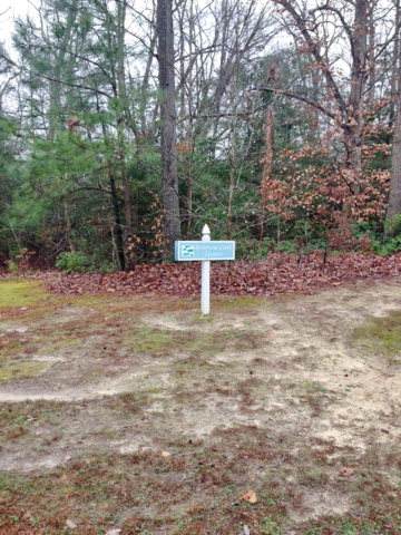 0 Robinson Creek Terrace - Photo 1