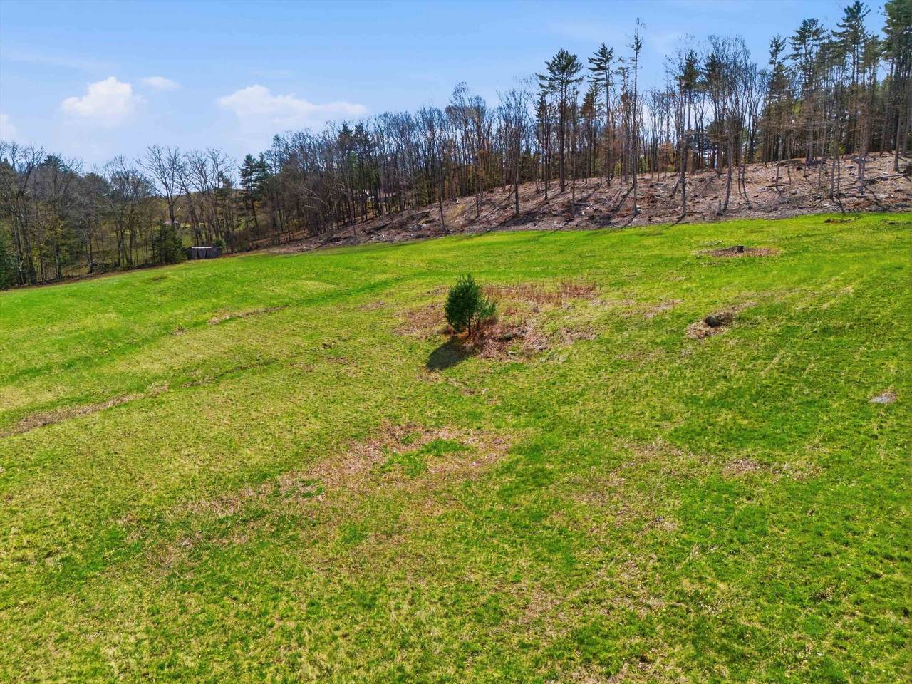 Lot 0-1-2 Pierce Lake Road - Photo 1
