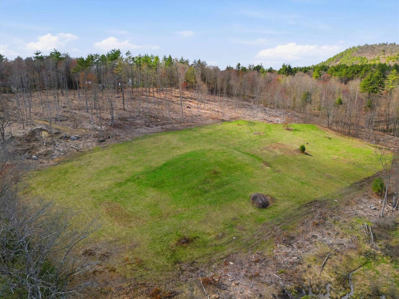 Lot 0-1-2 Pierce Lake Road - Photo 1