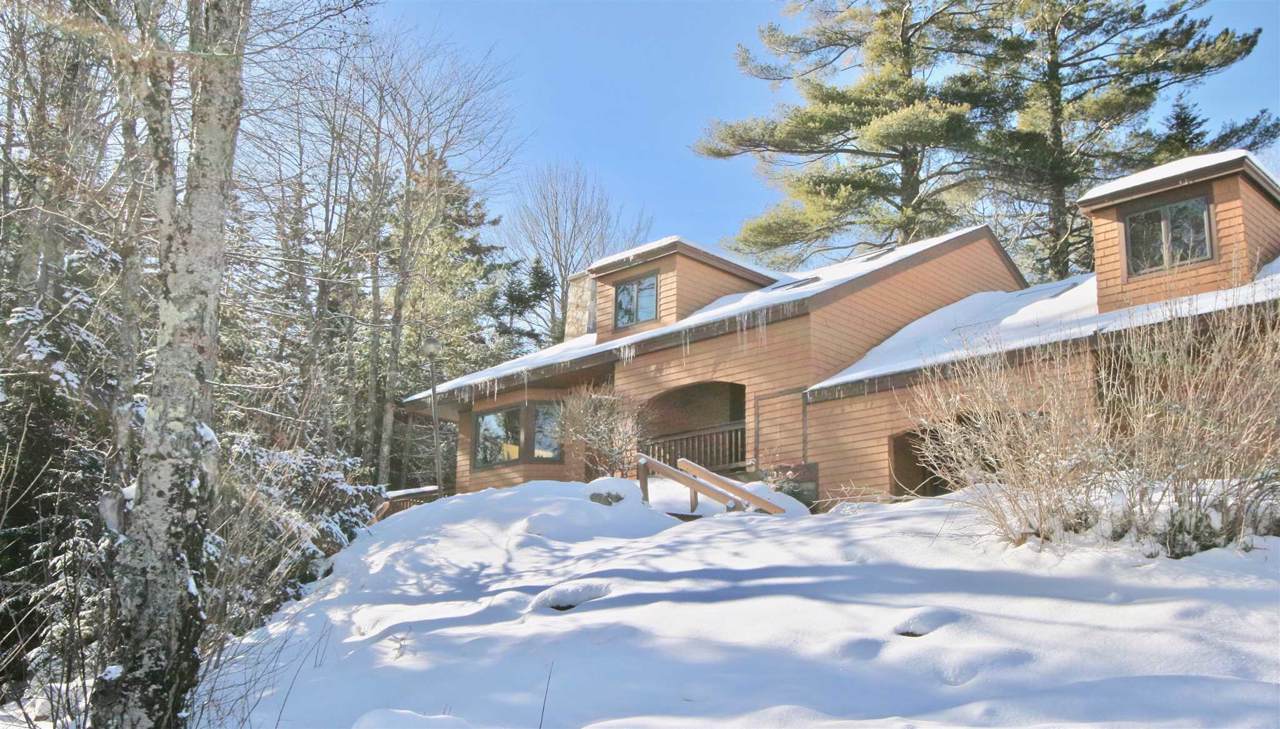 55 Forest Lane - Photo 1