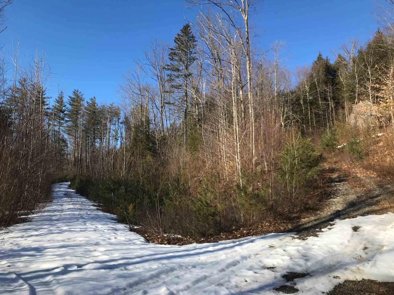 455 Bog Road - Photo 1