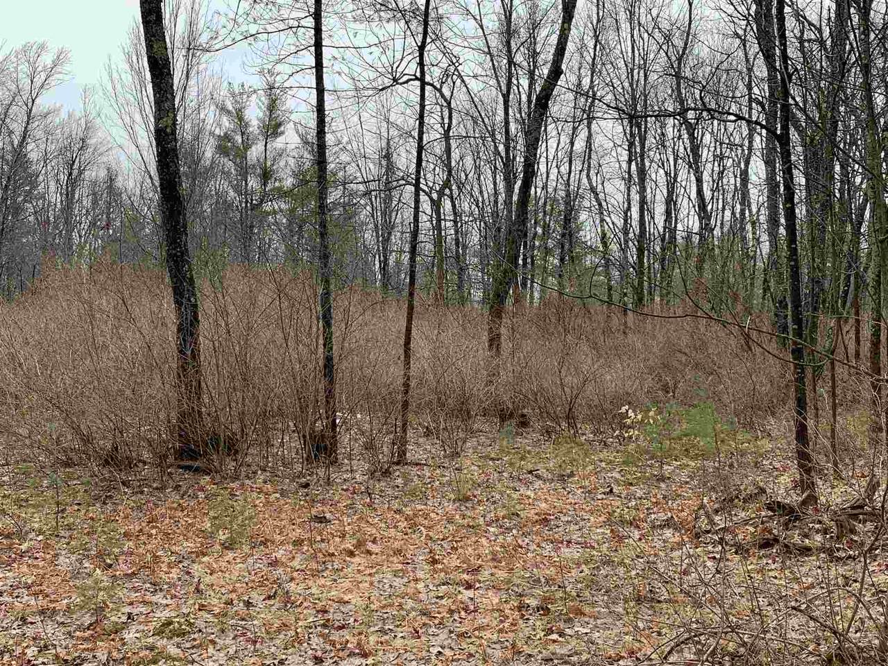 558a Old Greenfield Road - Photo 1