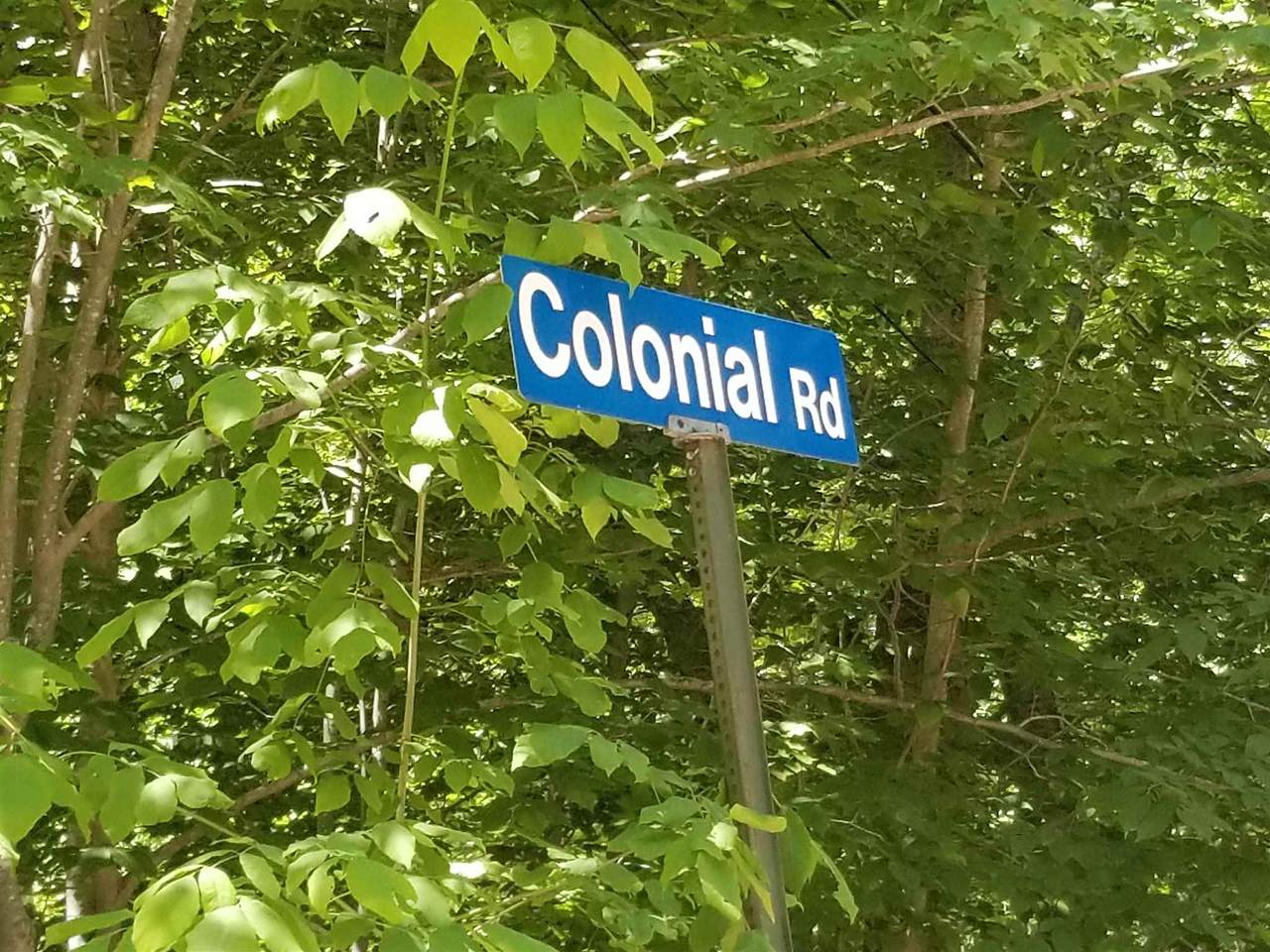62 Colonial Road - Photo 1
