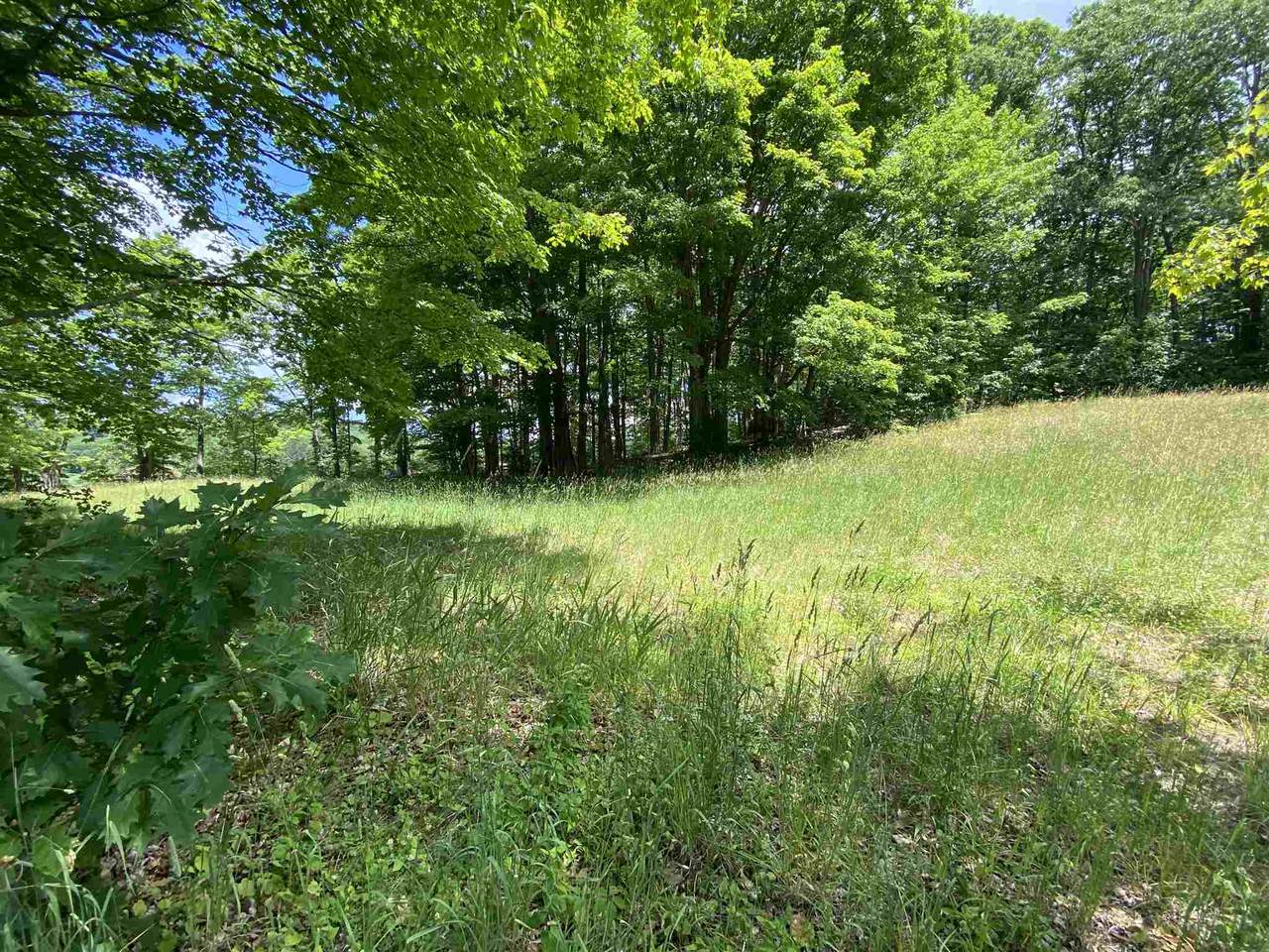 00 Ball Hill Road - Photo 1