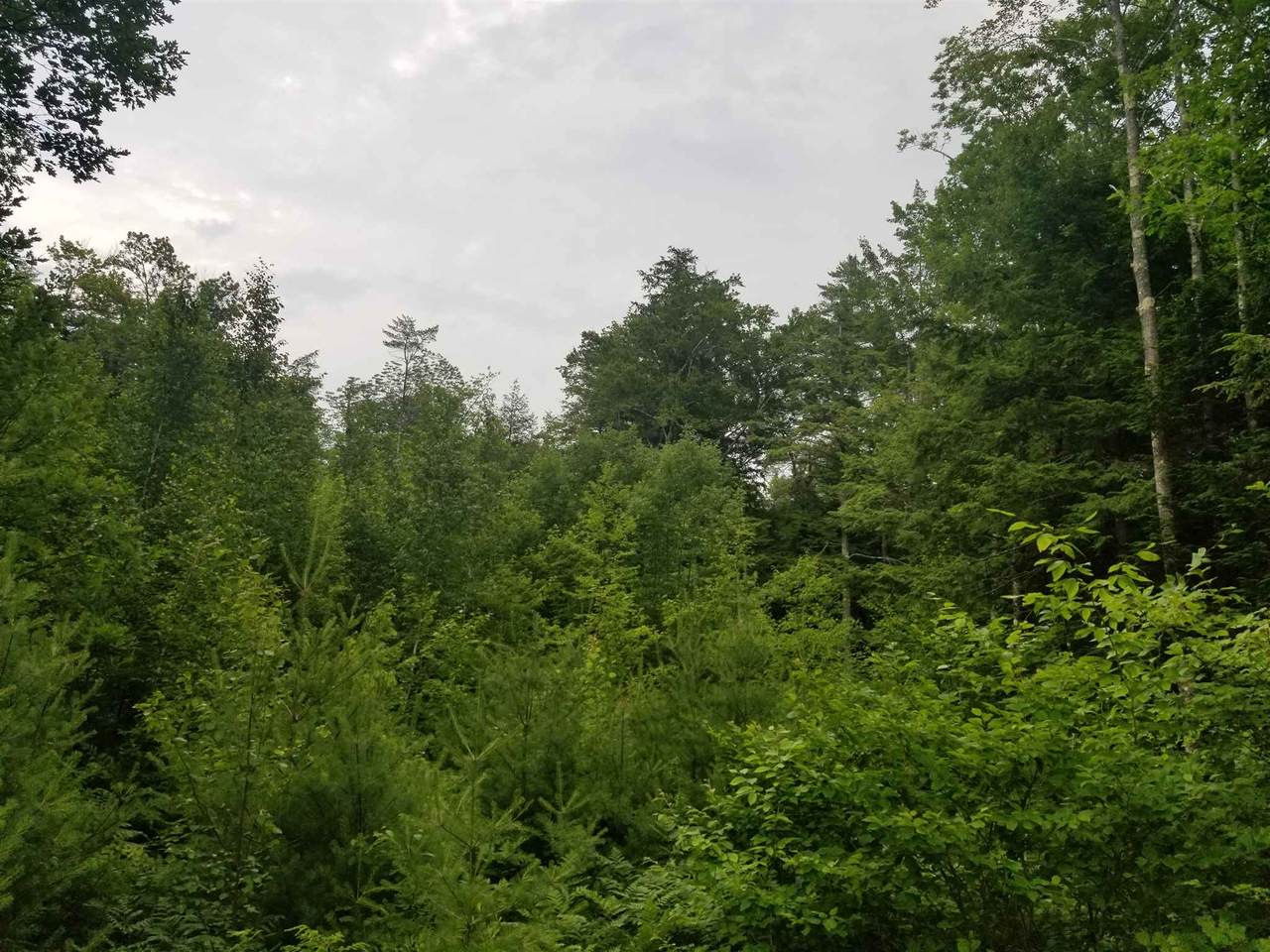 1237 Center Street - Photo 1