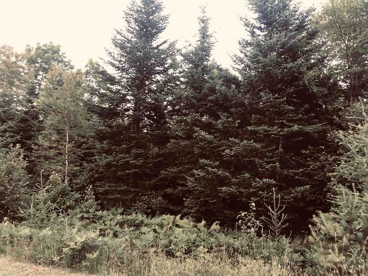 Lot# 21 Sunrise Drive - Photo 1