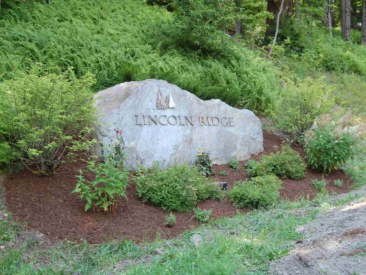 10 Lincoln Ridge Road - Photo 1