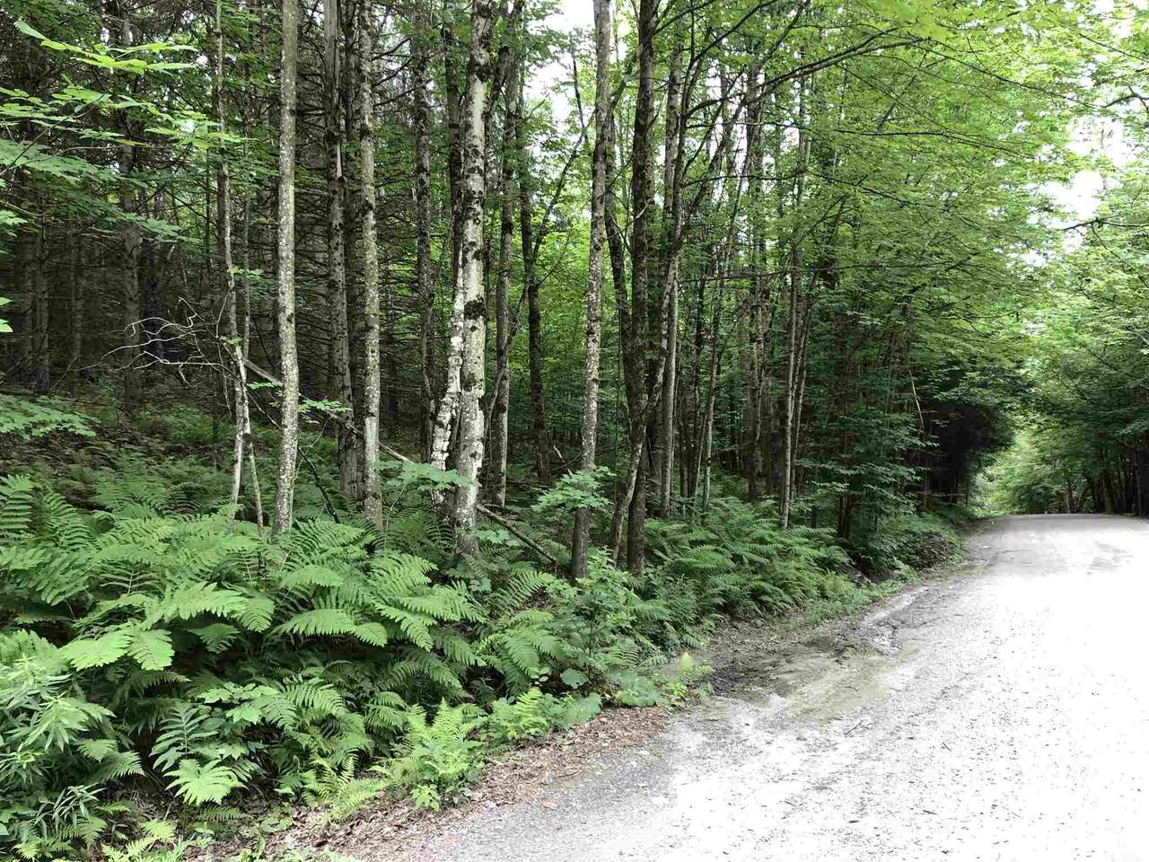 00 Paige Hill Road - Photo 1