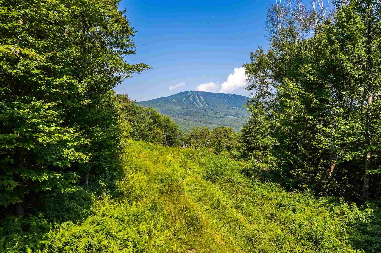 03 Turtle Hill Road - Photo 1