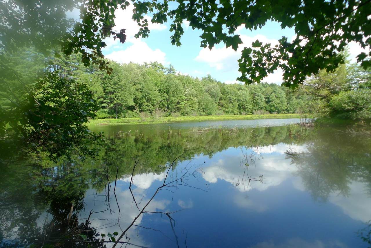 48 Cavil Mill Road - Photo 1