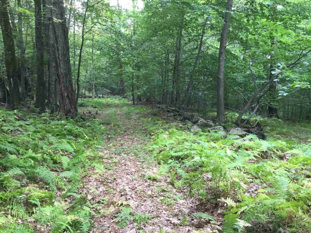 145 Vt Route 140W - Photo 1