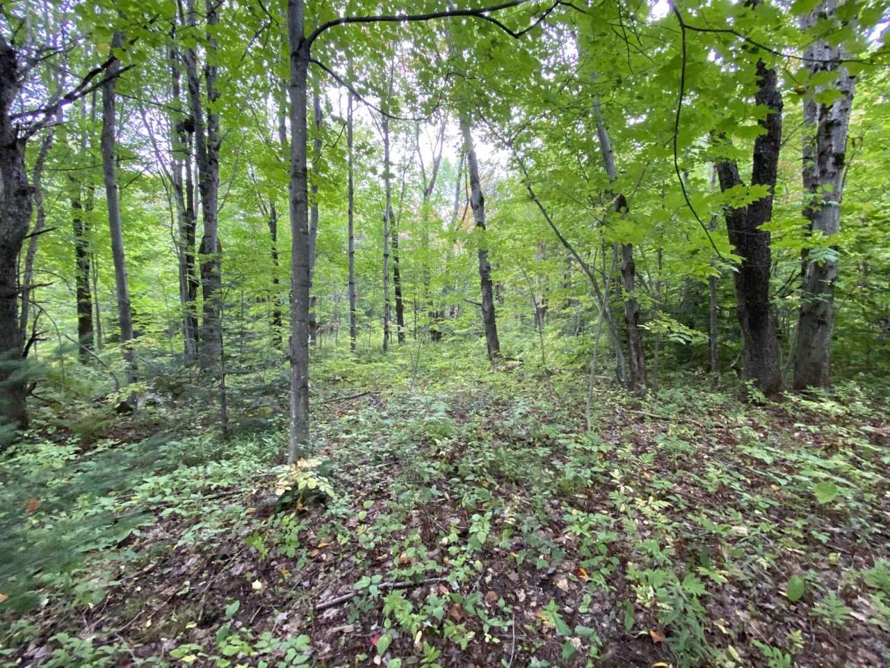 0 Vt 105 Route - Photo 1
