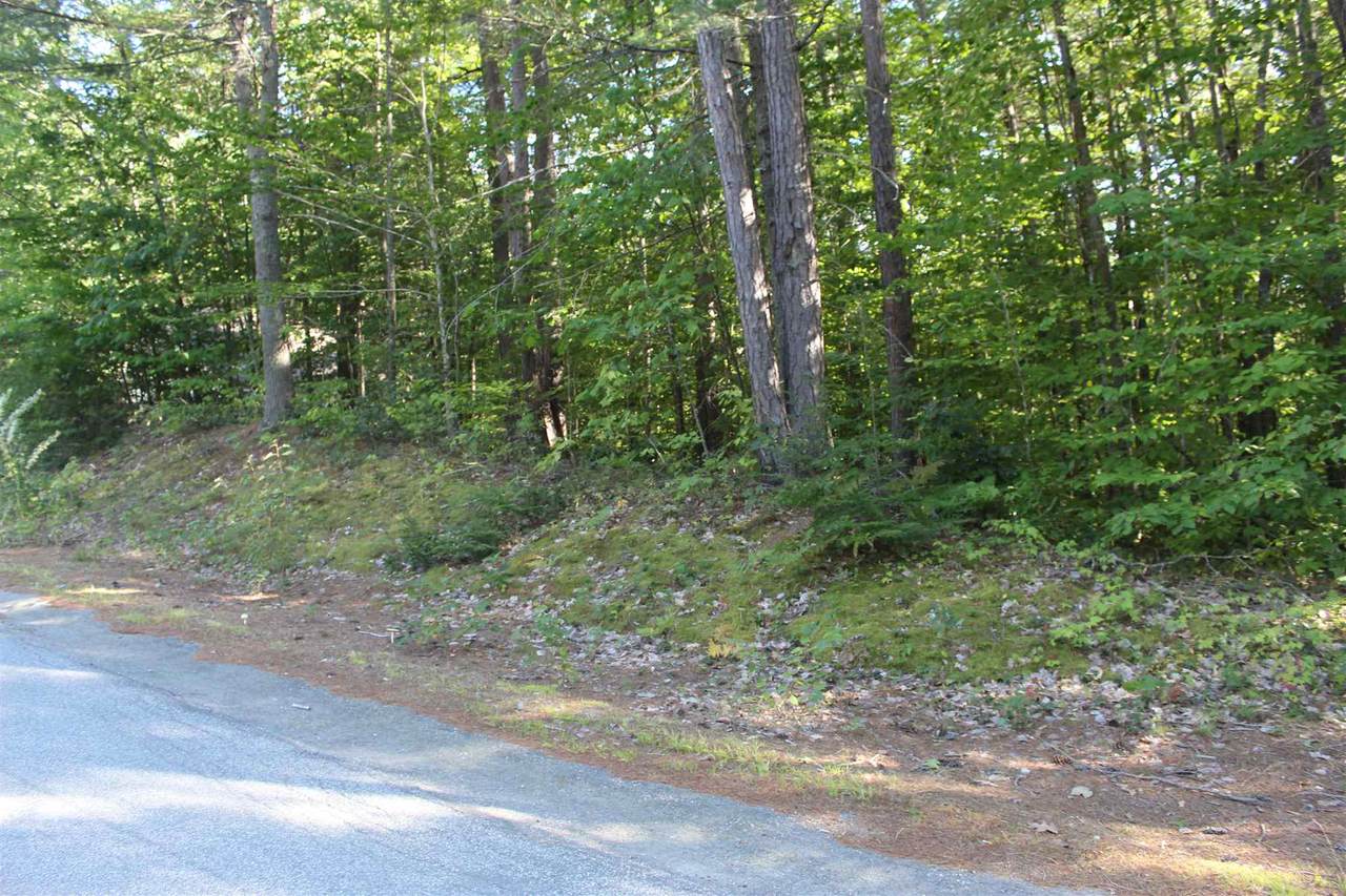 699 Pequawket Drive - Photo 1