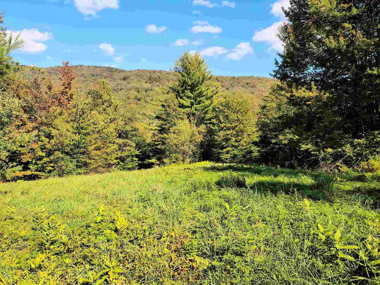 Lot 2 Stage Road - Photo 1