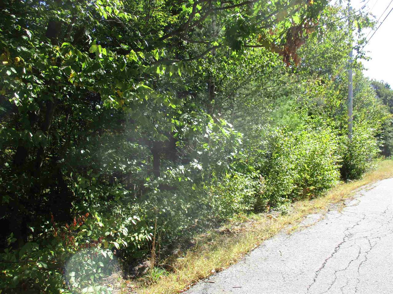Lot 10-20-19 Cedar Ridge Drive - Photo 1
