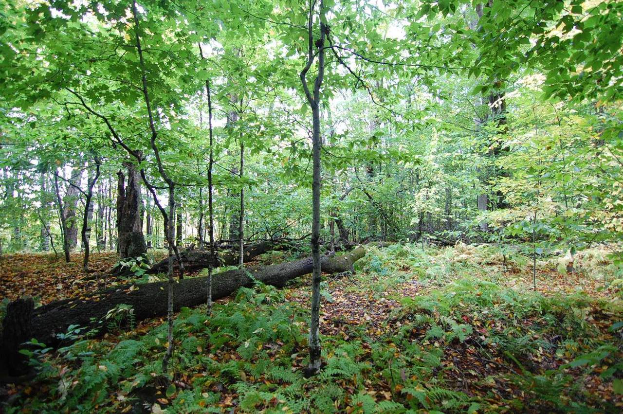 3 Beechwood Ridge Road - Photo 1