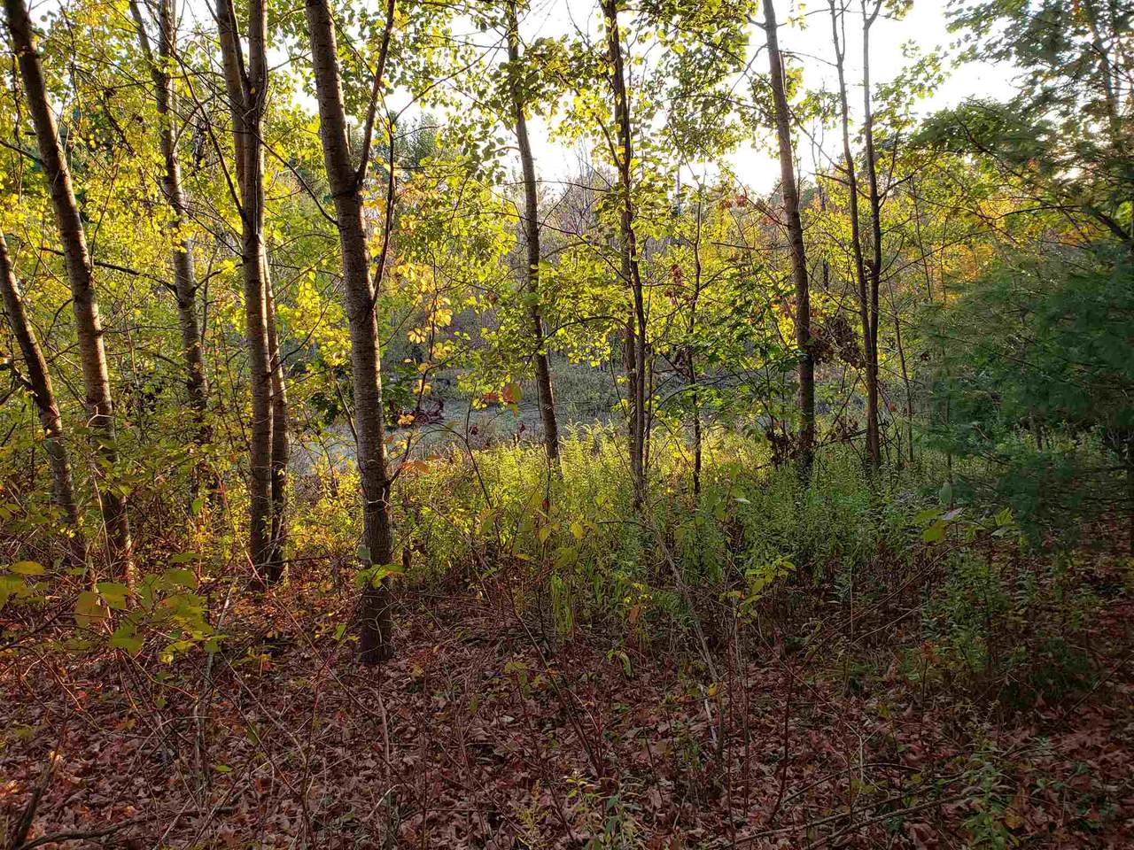 138 Snow Pond Road - Photo 1